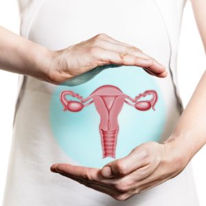 Image of a woman in a white dress and 3d model of the reproductive system of women above her hands. Concept of a healthy female reproductive system.