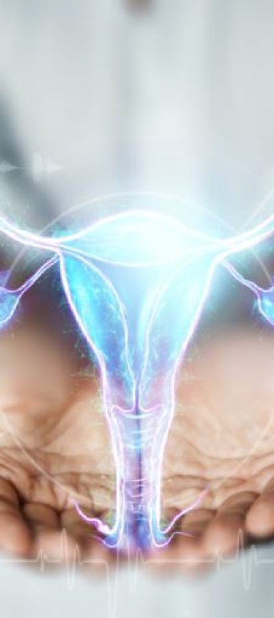 doctor-and-hologram-of-the-female-organ-of-the-uterus-medical-examination-women-s-consultation-ultrasound-gynecology-obstetrics-pregnancy-modern-medicine
